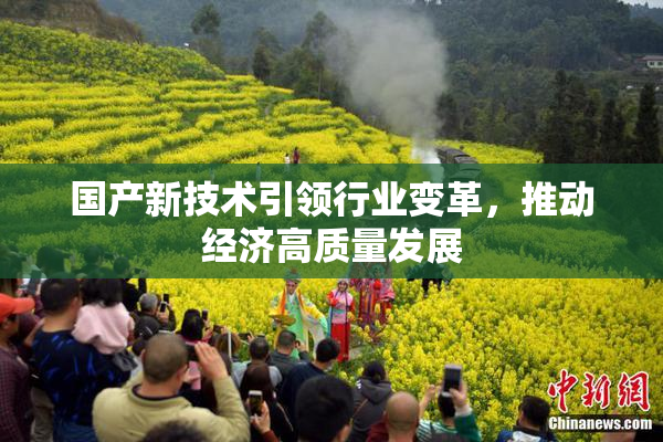 国产新技术引领行业变革，推动经济高质量发展
