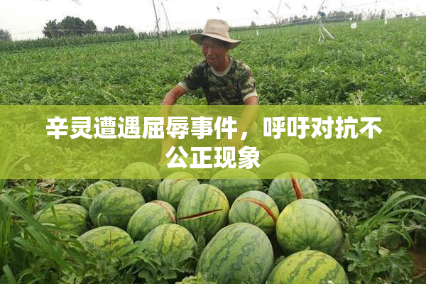 辛灵遭遇屈辱事件，呼吁对抗不公正现象