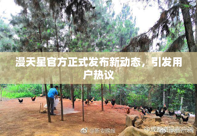 漫天星官方正式发布新动态，引发用户热议