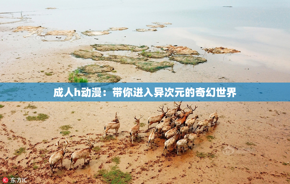 成人h动漫：带你进入异次元的奇幻世界