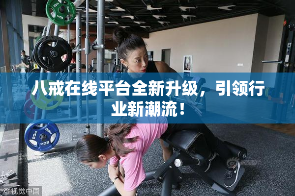 八戒在线平台全新升级，引领行业新潮流！