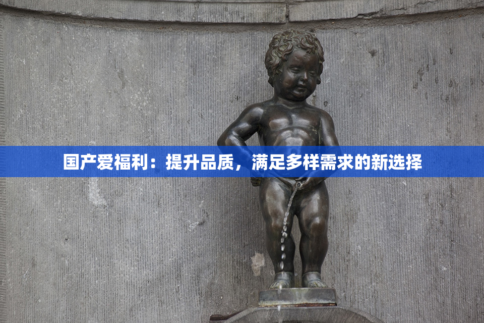 国产爱福利：提升品质，满足多样需求的新选择