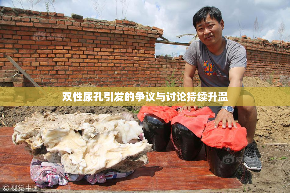 双性尿孔引发的争议与讨论持续升温