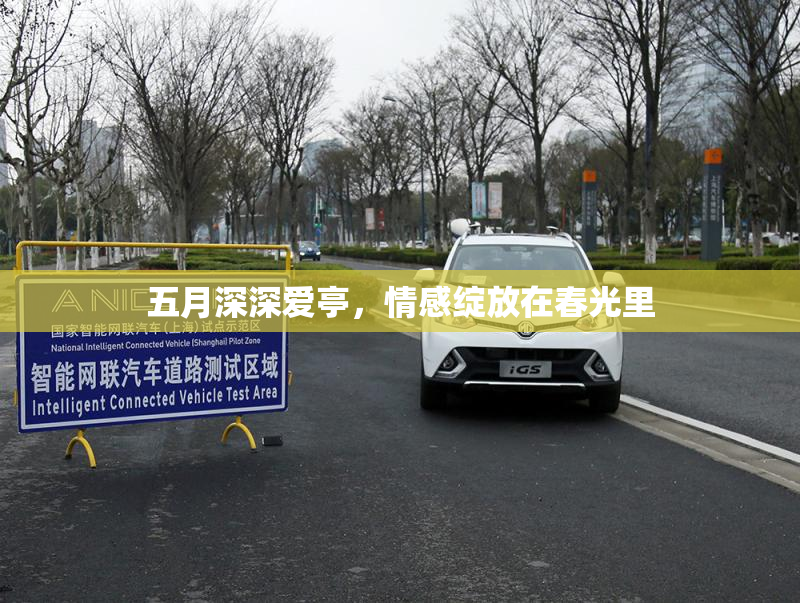 五月深深爱亭，情感绽放在春光里