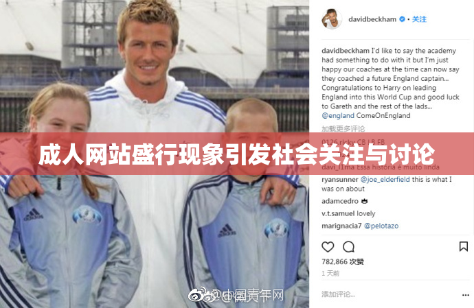 成人网站盛行现象引发社会关注与讨论