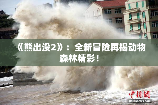 《熊出没2》：全新冒险再揭动物森林精彩！