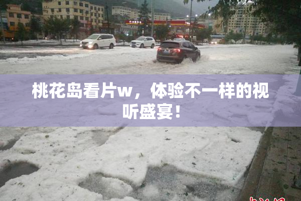 桃花岛看片w，体验不一样的视听盛宴！