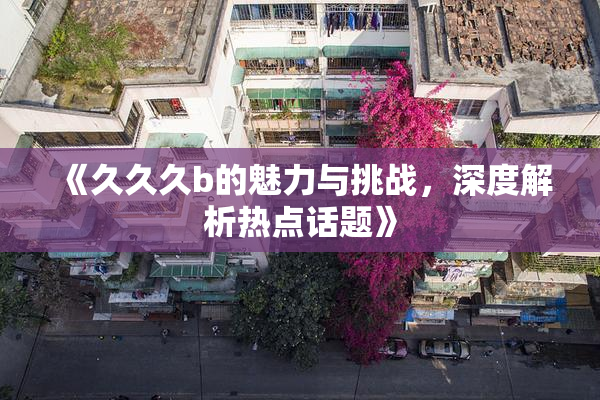 《久久久b的魅力与挑战，深度解析热点话题》