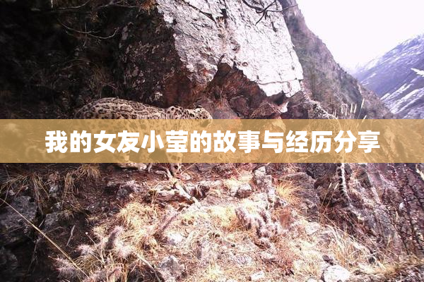 我的女友小莹的故事与经历分享