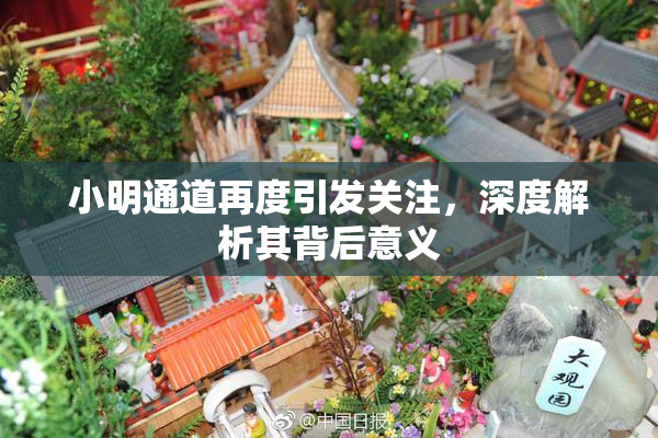 小明通道再度引发关注，深度解析其背后意义