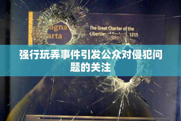 强行玩弄事件引发公众对侵犯问题的关注