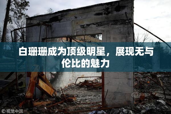 白珊珊成为顶级明星，展现无与伦比的魅力