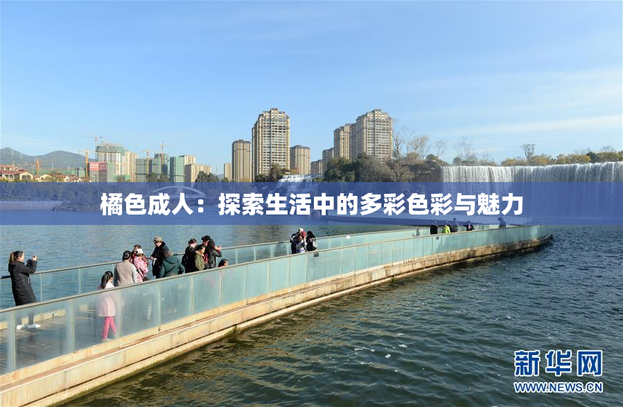 橘色成人：探索生活中的多彩色彩与魅力