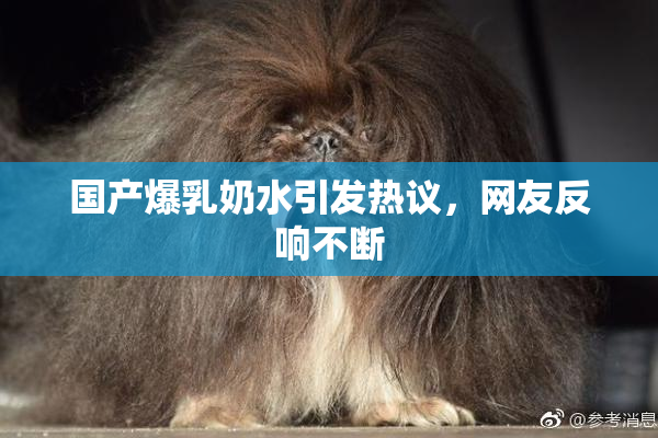 国产爆乳奶水引发热议，网友反响不断