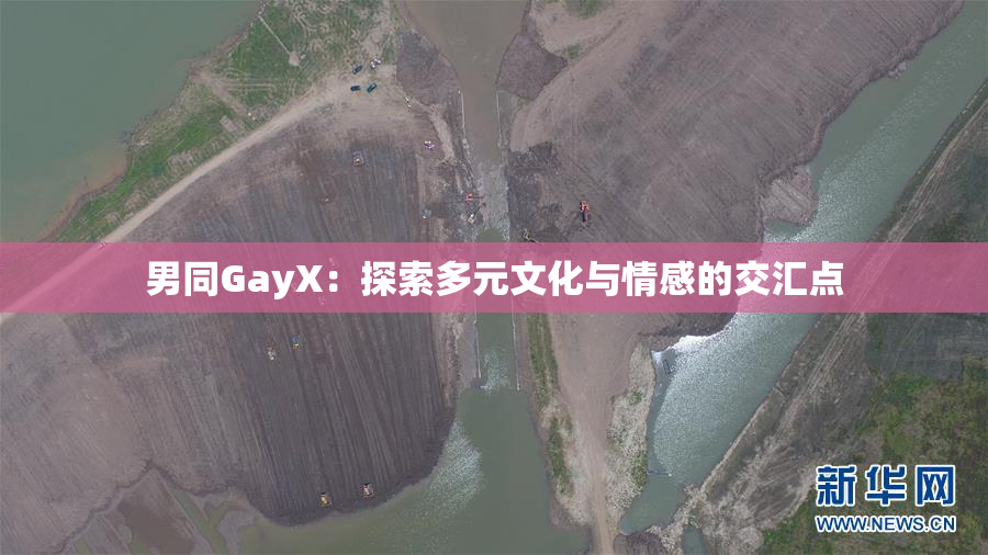 男同GayX：探索多元文化与情感的交汇点