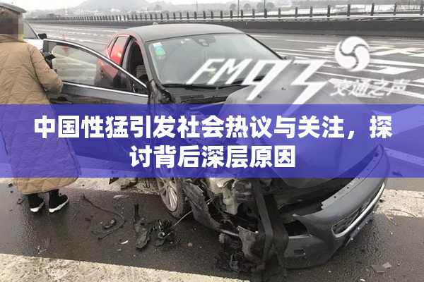 中国性猛引发社会热议与关注，探讨背后深层原因