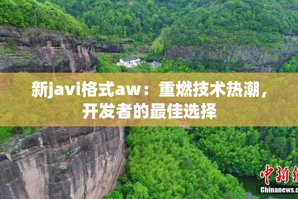 新javi格式aw：重燃技术热潮，开发者的最佳选择