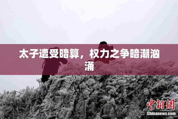 太子遭受暗算，权力之争暗潮汹涌
