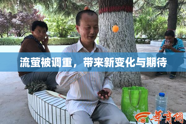 流萤被调重，带来新变化与期待