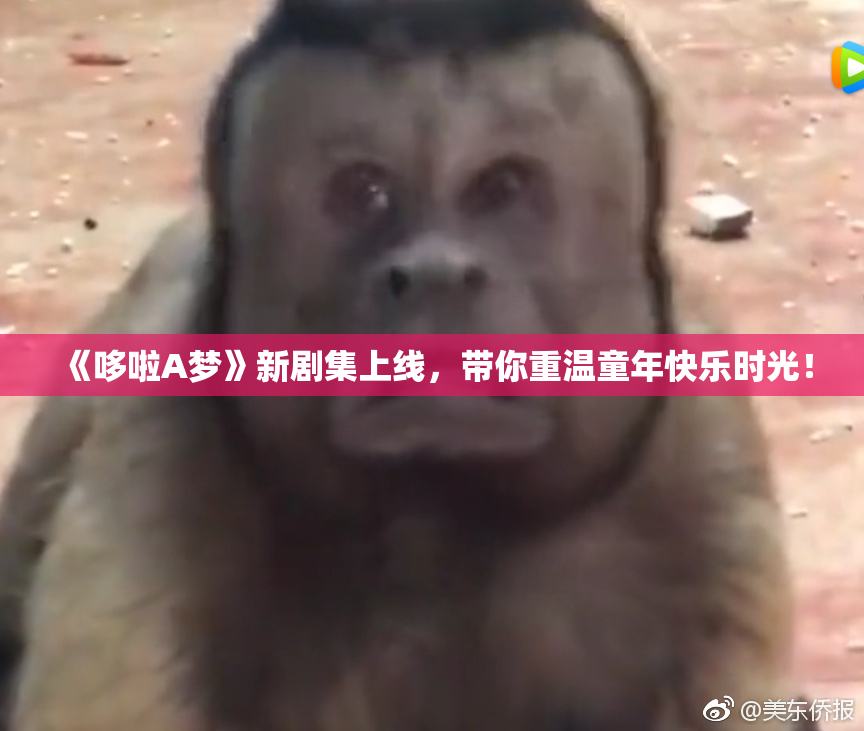 《哆啦A梦》新剧集上线，带你重温童年快乐时光！
