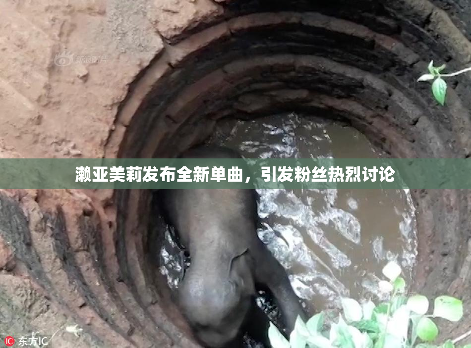 濑亚美莉发布全新单曲，引发粉丝热烈讨论