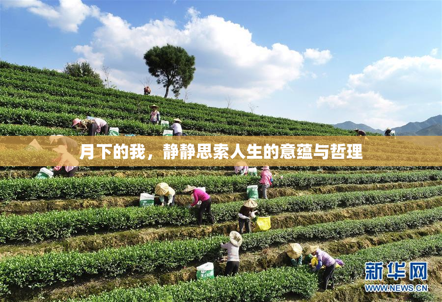 月下的我，静静思索人生的意蕴与哲理