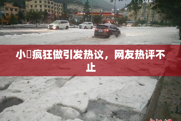 小泬疯狂做引发热议，网友热评不止