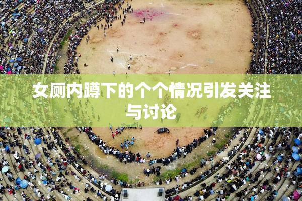 女厕内蹲下的个个情况引发关注与讨论