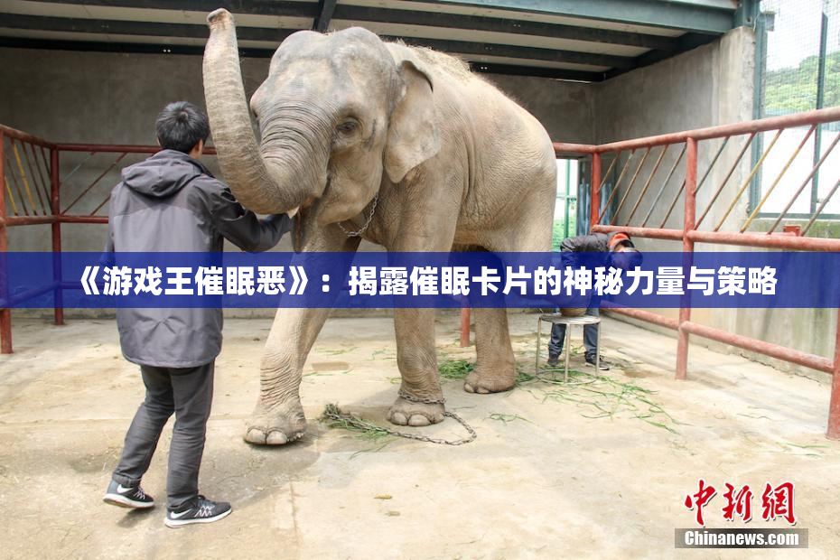 《游戏王催眠恶》：揭露催眠卡片的神秘力量与策略