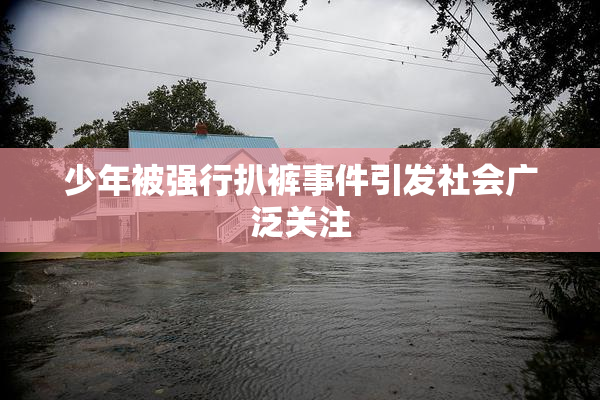 少年被强行扒裤事件引发社会广泛关注