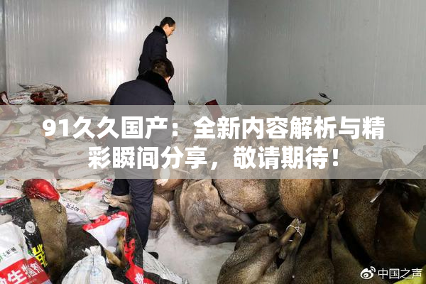 91久久国产：全新内容解析与精彩瞬间分享，敬请期待！