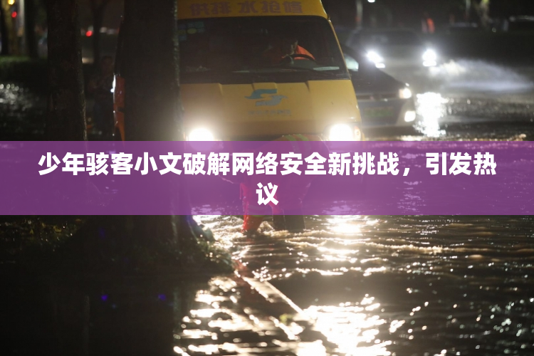少年骇客小文破解网络安全新挑战，引发热议