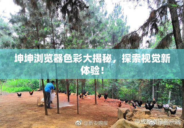 坤坤浏览器色彩大揭秘，探索视觉新体验！