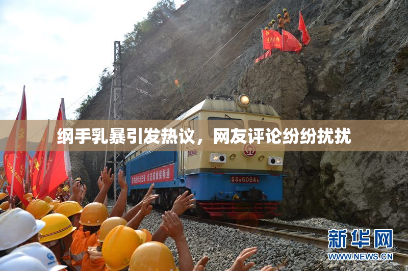 纲手乳暴引发热议，网友评论纷纷扰扰