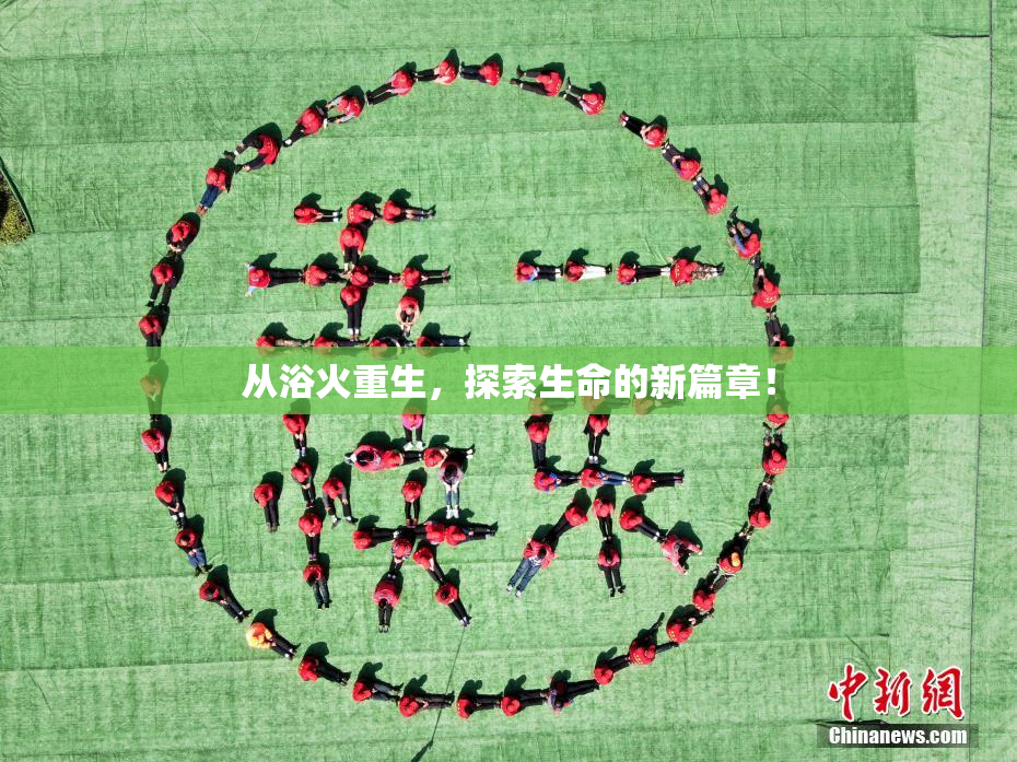 从浴火重生，探索生命的新篇章！