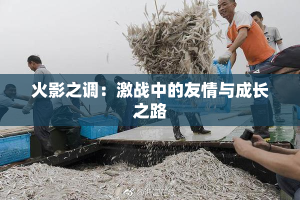 火影之调：激战中的友情与成长之路
