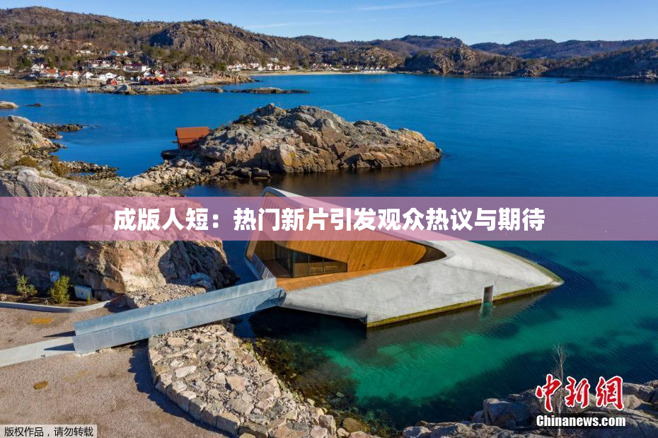 成版人短：热门新片引发观众热议与期待