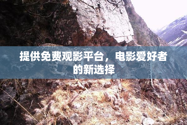 提供免费观影平台，电影爱好者的新选择
