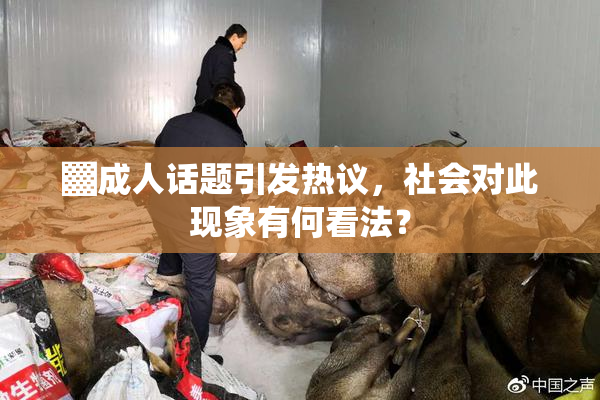 ▓成人话题引发热议，社会对此现象有何看法？
