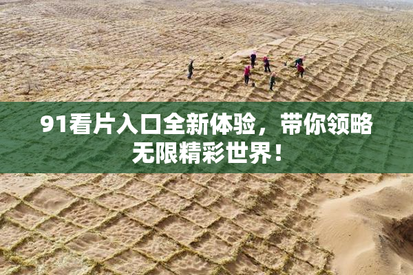 91看片入口全新体验，带你领略无限精彩世界！