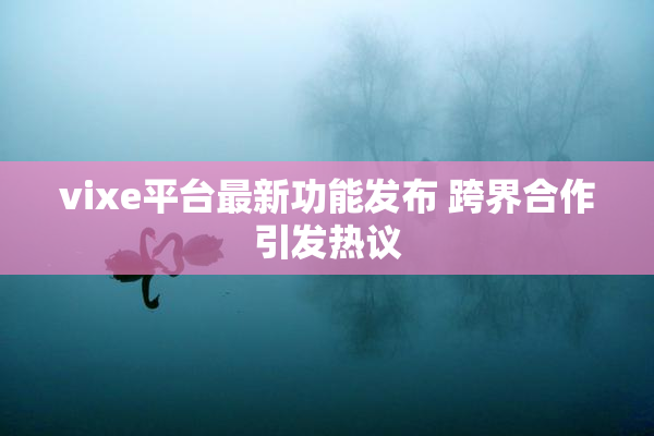 vixe平台最新功能发布 跨界合作引发热议