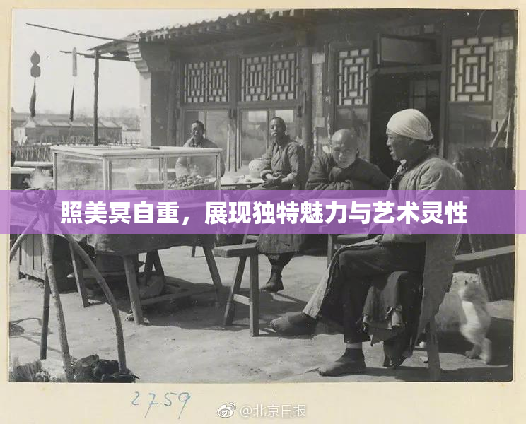 照美冥自重，展现独特魅力与艺术灵性
