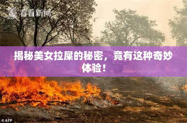揭秘美女拉屎的秘密，竟有这种奇妙体验！
