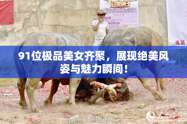 91位极品美女齐聚，展现绝美风姿与魅力瞬间！