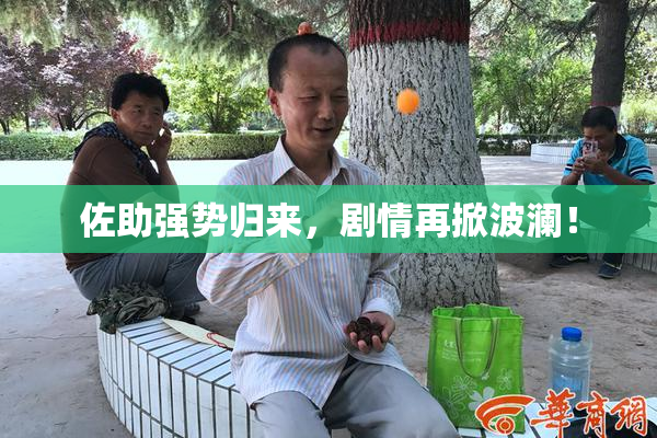 佐助强势归来，剧情再掀波澜！