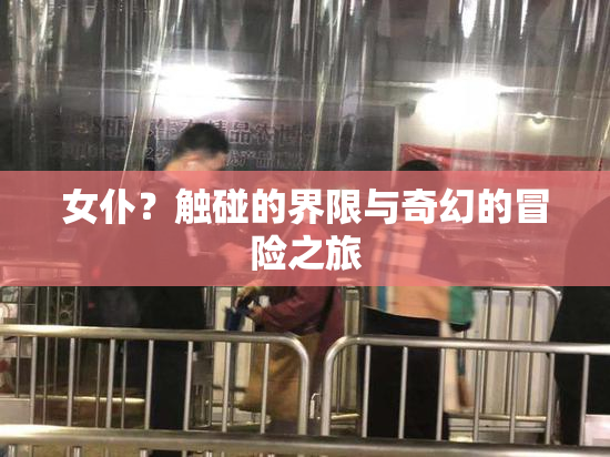 女仆？触碰的界限与奇幻的冒险之旅