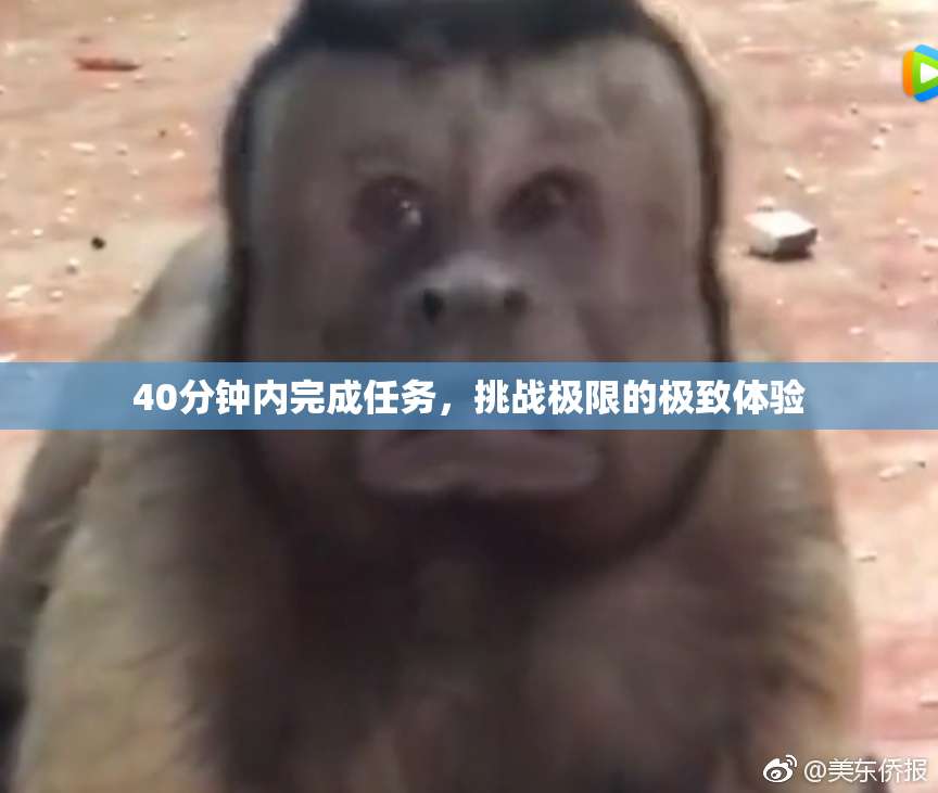 40分钟内完成任务，挑战极限的极致体验
