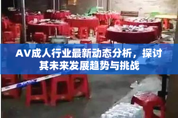 AV成人行业最新动态分析，探讨其未来发展趋势与挑战