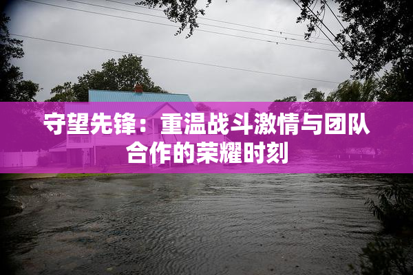 守望先锋：重温战斗激情与团队合作的荣耀时刻