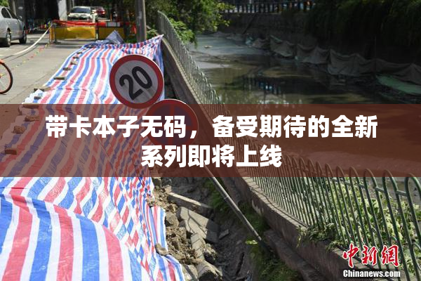 带卡本子无码，备受期待的全新系列即将上线